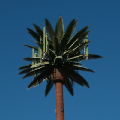monopalm cell tower